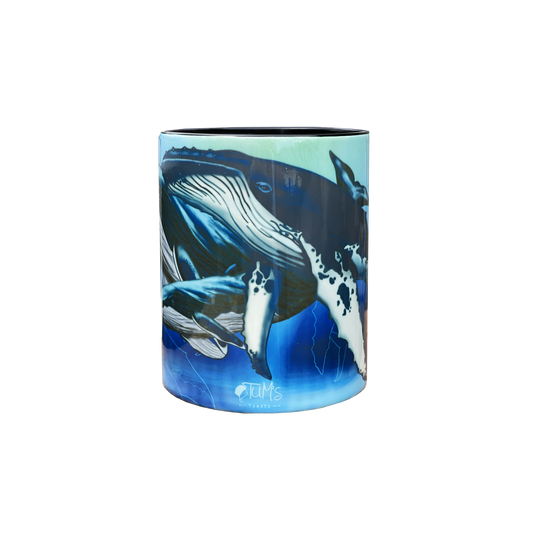 FISH13 -TOHORA